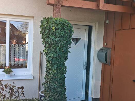 Reihenhaus zum Kauf provisionsfrei 329.900 € 3 Zimmer 82 m² 315 m² Grundstück frei ab sofort Distelweg 1 Bentwisch 18182