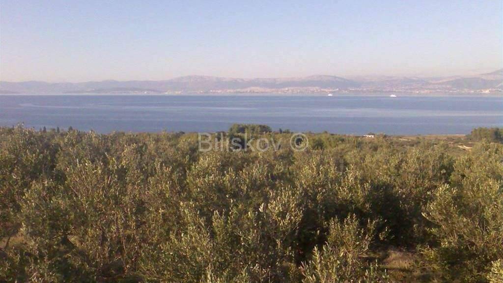 Land-/Forstwirtschaft zum Kauf 210.000 € Supetar