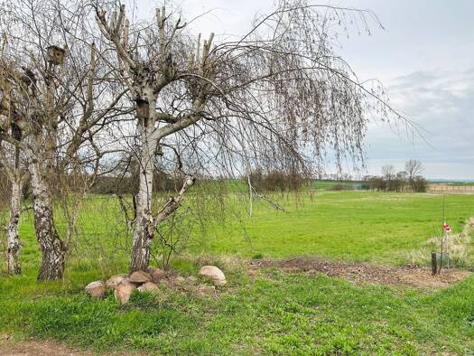 Grundstück zum Kauf 22.000 € 571 m² Grundstück frei ab sofort Drehlitz Petersberg 06193