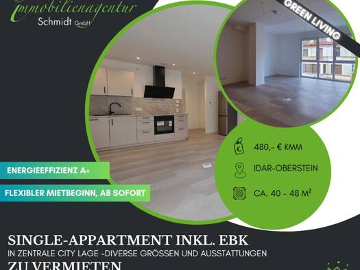 Studio zur Miete 480 € 1 Zimmer 40,6 m² 1. Geschoss Idar-Oberstein 55743
