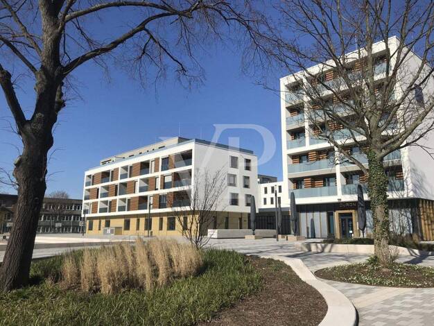 Wohnung zur Miete 1.093 € 3 Zimmer 95 m² Düren 52351