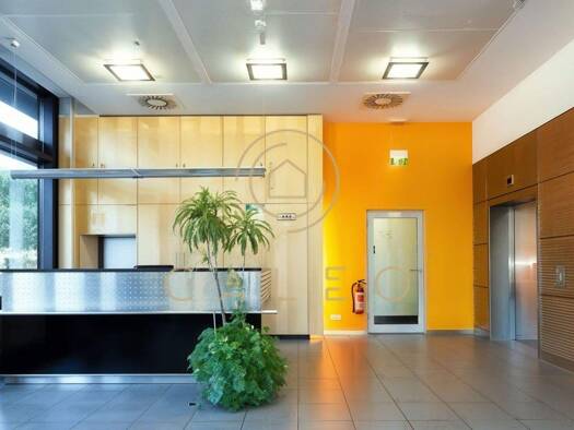 Bürofläche zur Miete provisionsfrei 17 € 684 m² Bürofläche teilbar ab 684 m² Wiesbaden Südost 65185
