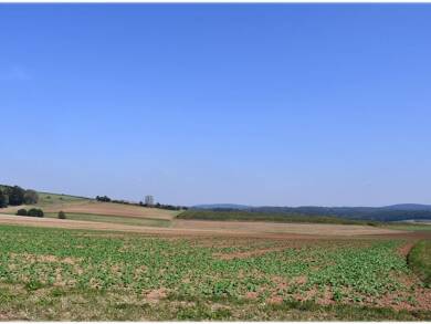 Land-/Forstwirtschaft zum Kauf 118.000 € 46.434 m² Grundstück Haina Haina (Kloster) 35114