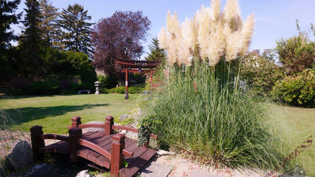 Grundstück zum Kauf 897.000 € 1.540 m² Grundstück Schwechat 2320