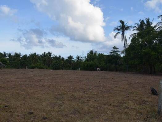 Grundstück zum Kauf 215.000 € 6.000 m² Grundstück Odiongan 5505