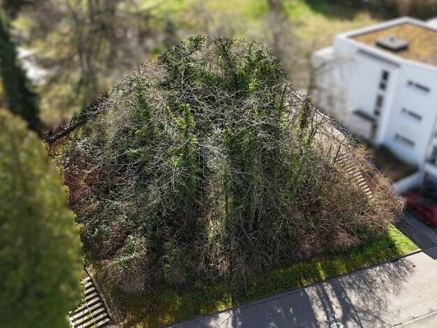 Grundstück zum Kauf 625.000 € 722 m² Grundstück Lörrach Lörrach 79539