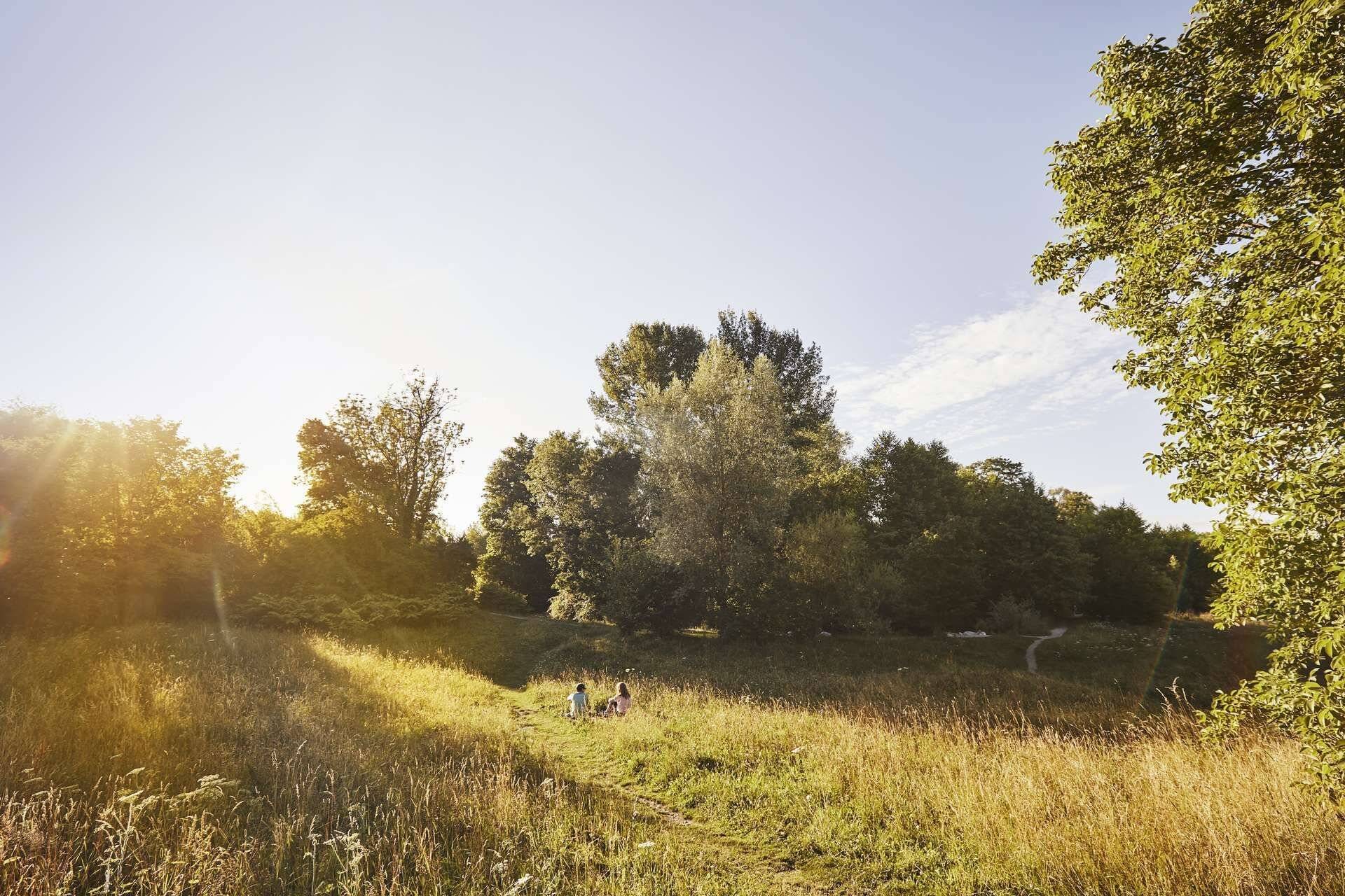 Property thumbnail 7