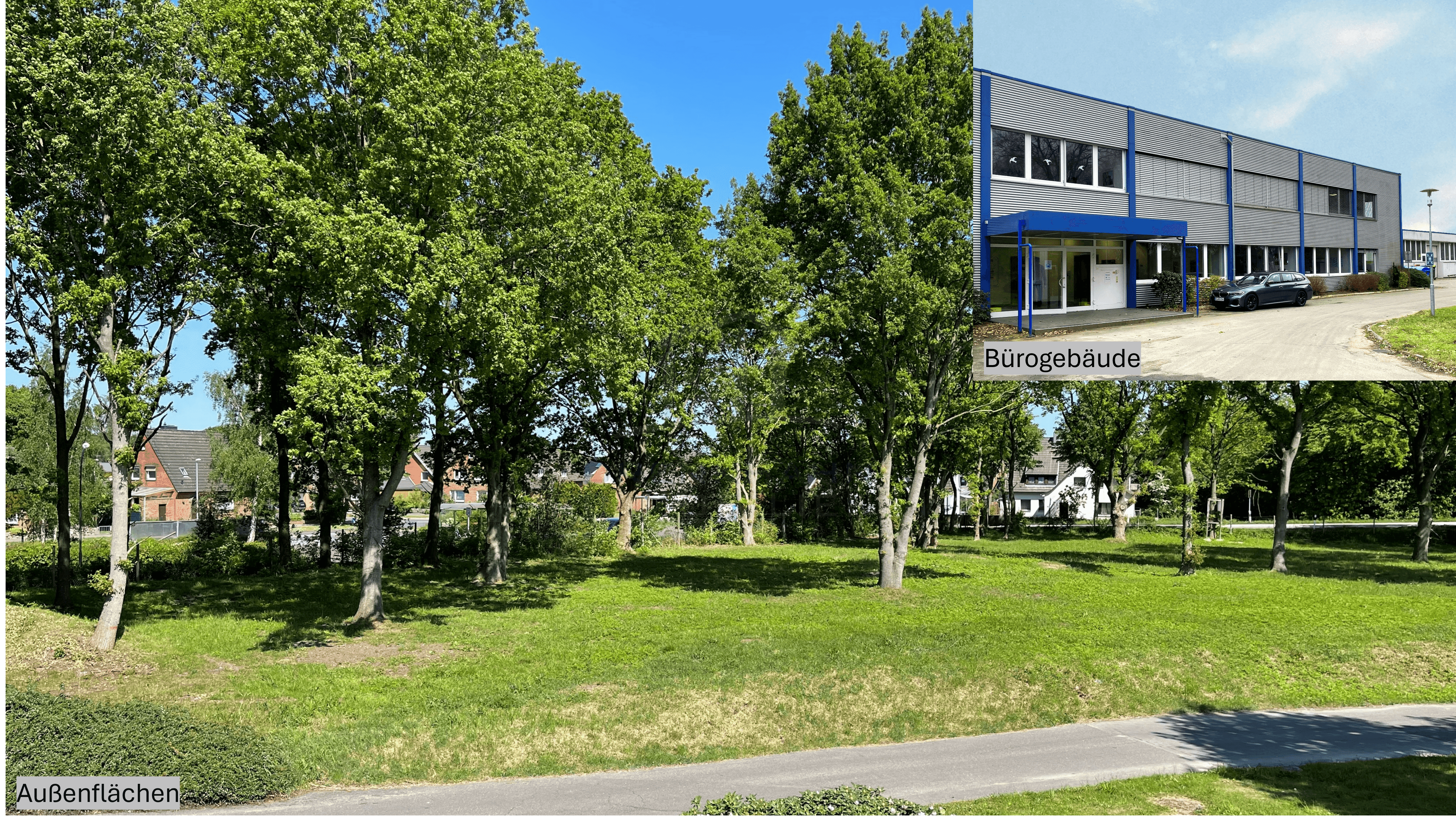 Grundstück zur Miete provisionsfrei 5.000 m²<br/>Grundstück Am Busbahnhof 1 Westerrönfeld Westerrönfeld 24784