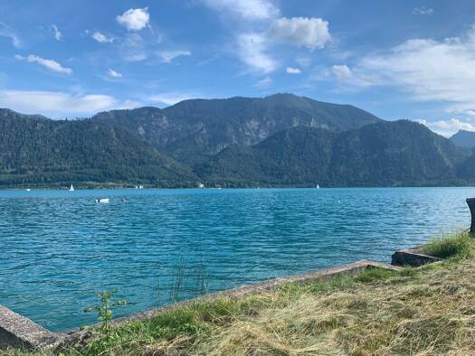Studio zum Kauf 3 Zimmer 87 m² EG Unterach am Attersee 4866