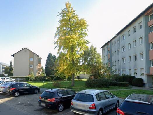 Studio zur Miete 619 € 2 Zimmer 42 m² Geschoss 2/4 frei ab 12.09.2026 Viernheim Viernheim 68519