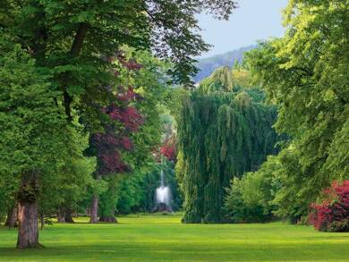 Villa zum Kauf 2.500.000 € 8 Zimmer 320 m² 900 m² Grundstück Baden-Baden 76530