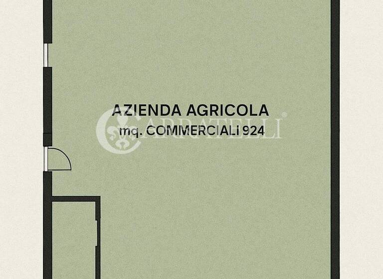 Haus zum Kauf 10.000.000 € 2.370 m² 5.000.000 m² Grundstück Castelnuovo Berardenga 53019