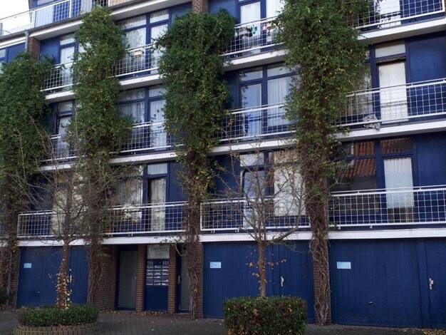 Wohnung zur Miete 376 € 1 Zimmer 25,4 m² 1. Geschoss frei ab 16.09.2026 Georgstraße 5 St. Lorenz Süd St. Lorenz-Süd 23558
