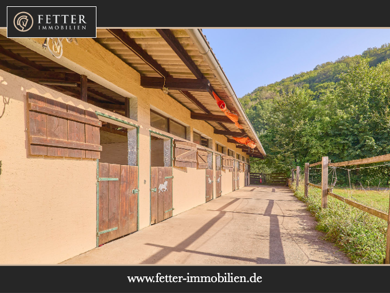 Reiterhof zum Kauf 550.000 € 139 m² 4.089 m² Grundstück Niederhambach 55767