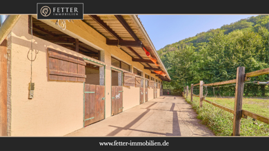 Reiterhof zum Kauf 550.000 € 139 m² 4.089 m² Grundstück Niederhambach 55767