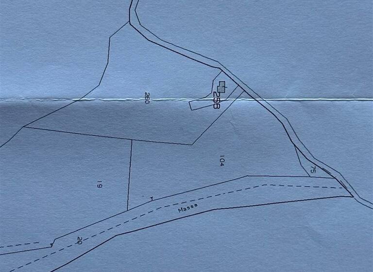 Land-/Forstwirtschaft zum Kauf 25.000 € 3.500 m² Grundstück Olivenhain direkt in Massa Marittima Massa Marittima 58024