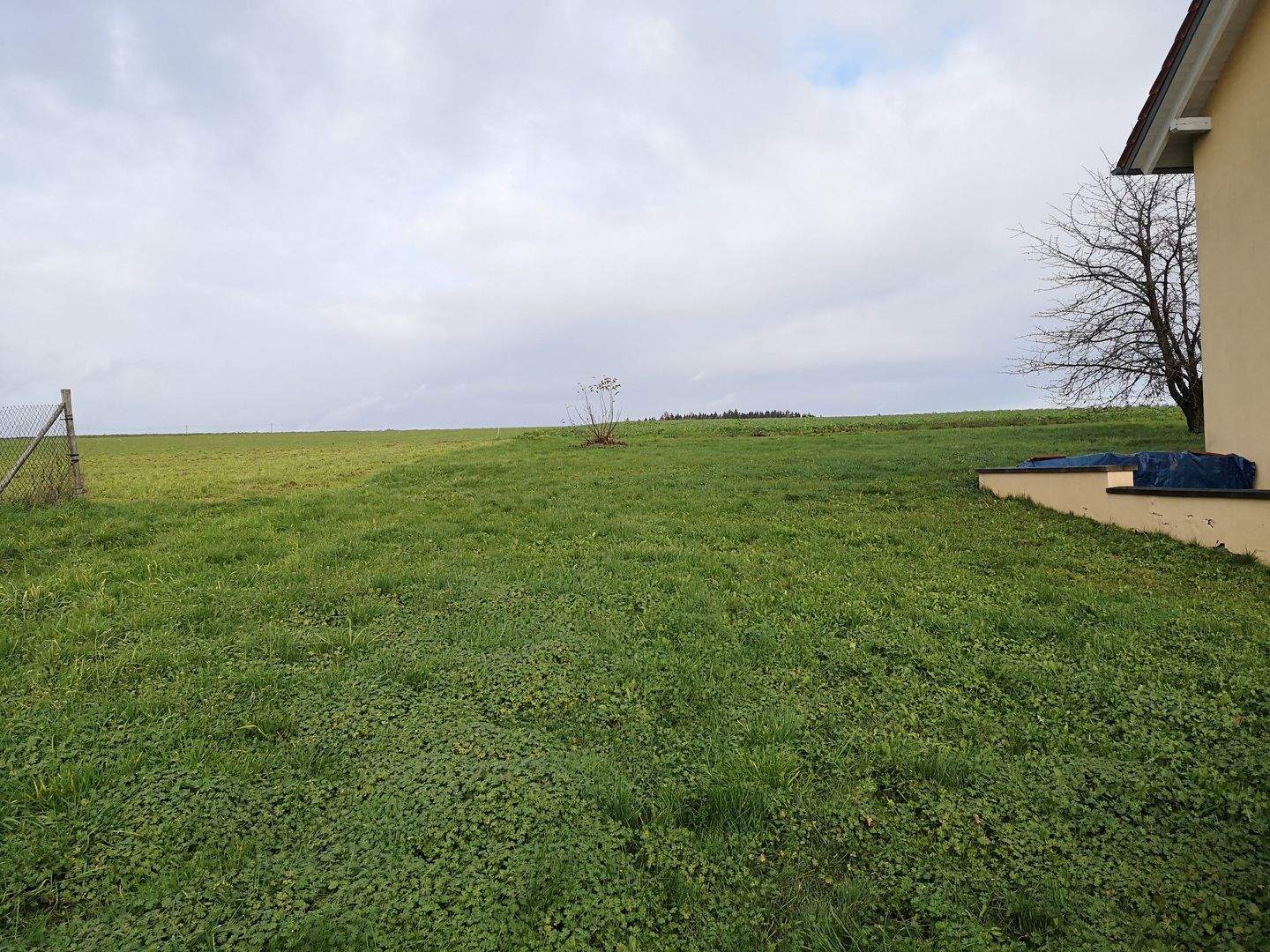 Immobilie in Pentling - Neubau von 4 Doppelhaushälften in Seedorf - Pentling - Bild 2