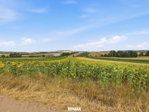 Grundstück zum Kauf 108.000 € 11.710 m² Grundstück Sierndorf 2011