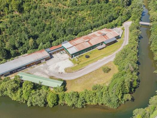 Halle/Industriefläche zum Kauf Mürzzuschlag 8680