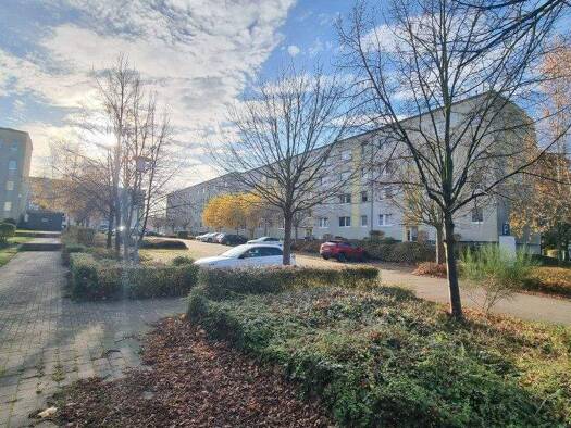 Wohnung zur Miete 400 € 2 Zimmer 50 m² frei ab sofort Am Volkskulturpark 19 Pasewalk 17309