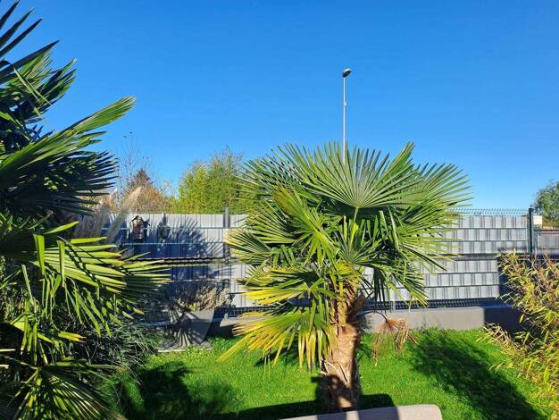 Doppelhaushälfte zum Kauf 385.000 € 6 Zimmer 158 m² 588 m² Grundstück Folpersviller Sarreguemines 57200