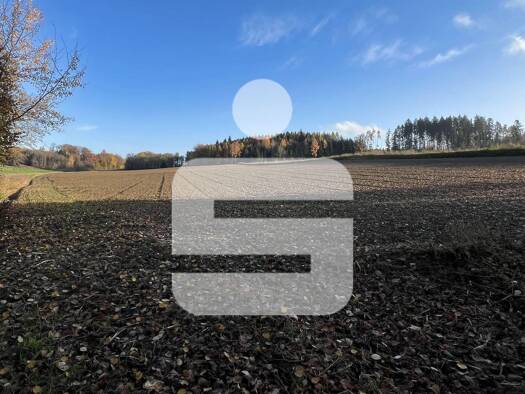Land-/Forstwirtschaft zum Kauf 295.000 € 24.784 m² Grundstück Einberg Wurmannsquick 84329