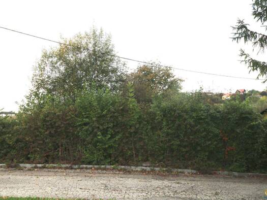 Grundstück zum Kauf 120.000 € 1.037 m² Grundstück frei ab sofort Wolfern 4493