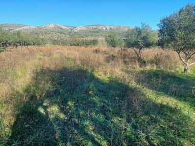 Land-/Forstwirtschaft zum Kauf 23.000 € Gornje Razine