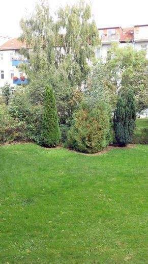 Wohnung zur Miete – pohled 3