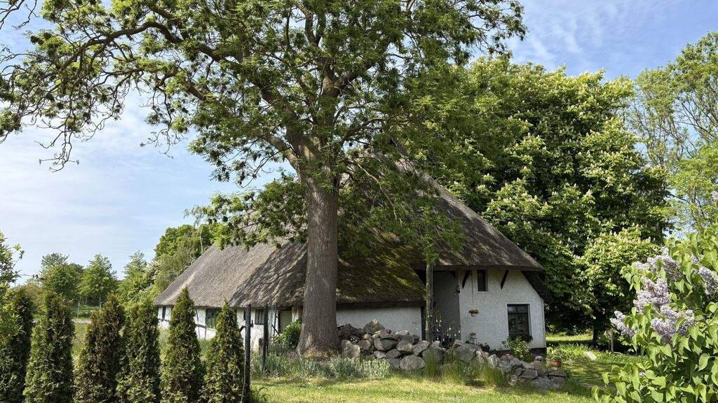 Mehrfamilienhaus zum Kauf 1.250.000 € 200 m² 3.650 m² Grundstück Kühlungsborn 18225