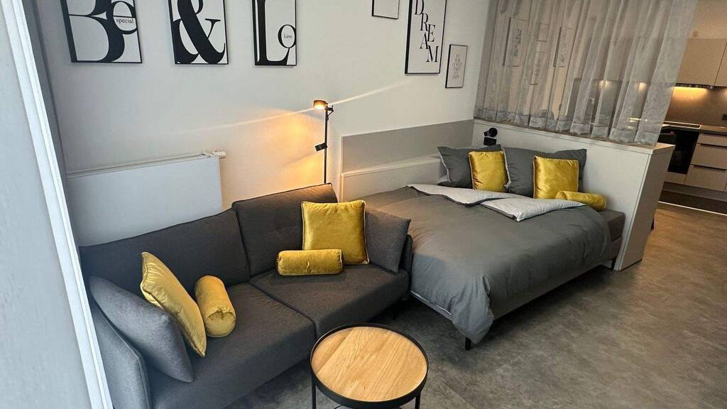 Studio zur Miete 920 € 1 Zimmer 45 m² Bamberg 96050