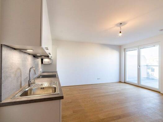 Wohnung zur Miete 737 € 2 Zimmer 56,2 m² 2. Geschoss Siegfriedgasse Wien 1210
