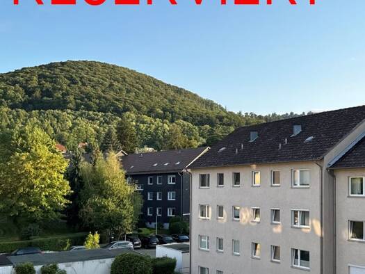 Wohnung zum Kauf 52.000 € 2 Zimmer 50 m² frei ab sofort Bad Harzburg 38667