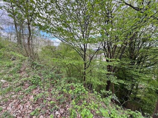 Grundstück zum Kauf 207.350 € 1.595 m² Grundstück Lohr Lohr a. Main 97816