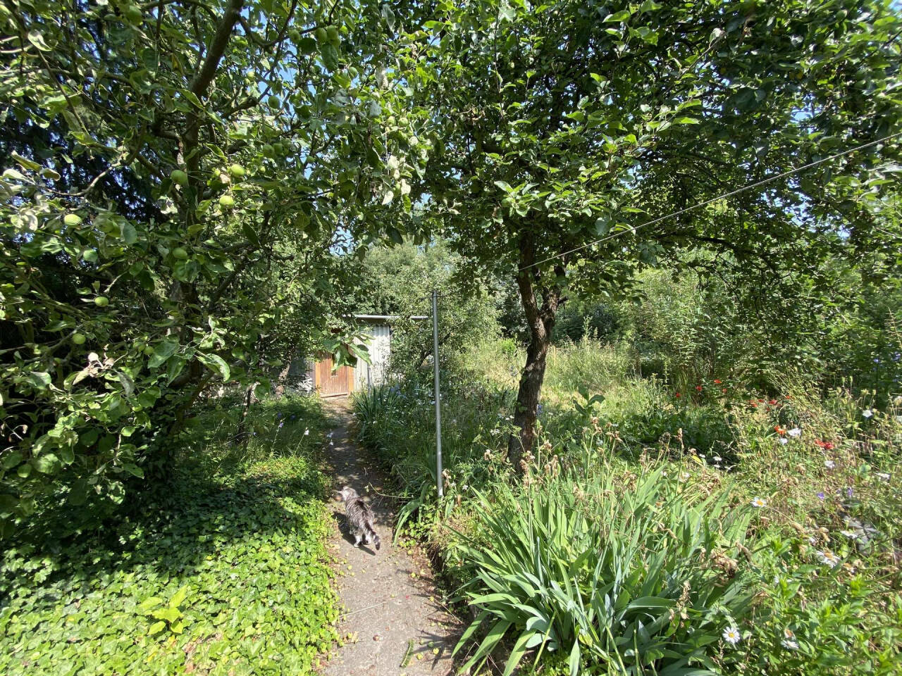 Property thumbnail 11