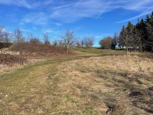 Grundstück zum Kauf provisionsfrei 49.000 € 400 m² Grundstück Sachsdorf Klipphausen 01665