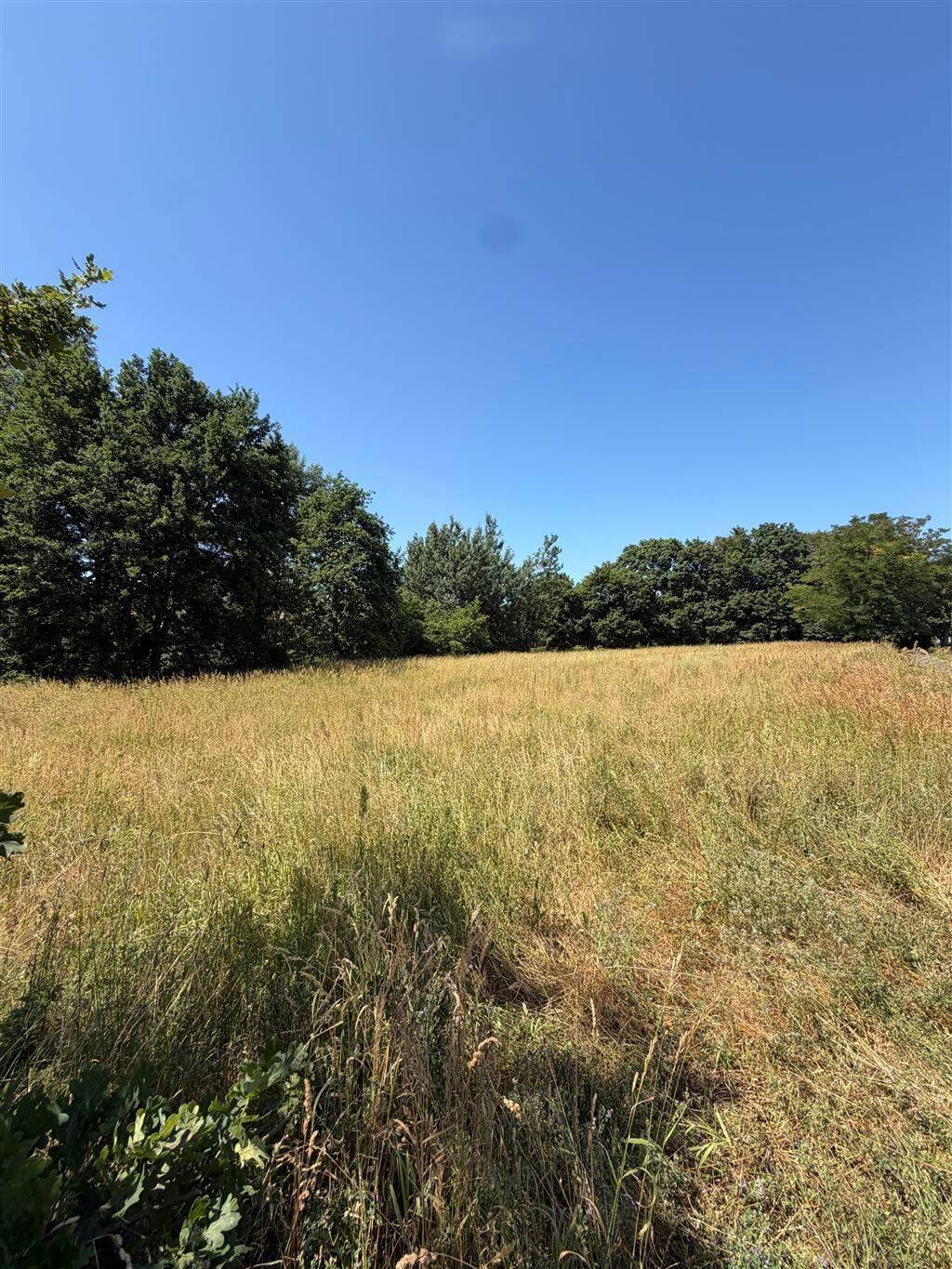 House in Mühlenbecker Land, Mühlenbeck - Ansicht 4