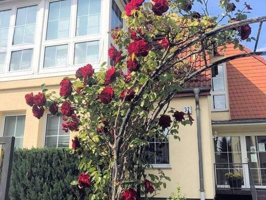 Mehrfamilienhaus zum Kauf 815.000 € 12 Zimmer 320 m² 834 m² Grundstück Bergfelder Straße 32 Birkenwerder 16547