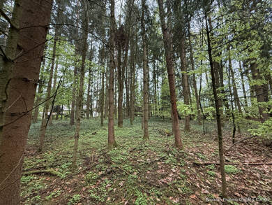 Land-/Forstwirtschaft zum Kauf 10.000 € 1.656 m² Grundstück Haselbach Haselbach 94354