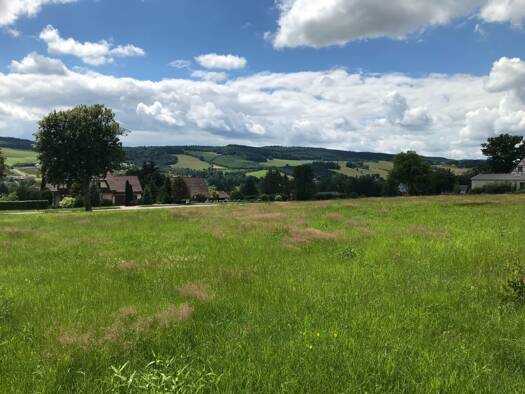 Grundstück zum Kauf provisionsfrei 79.495 € 1.223 m² Grundstück Olbernhau 09526