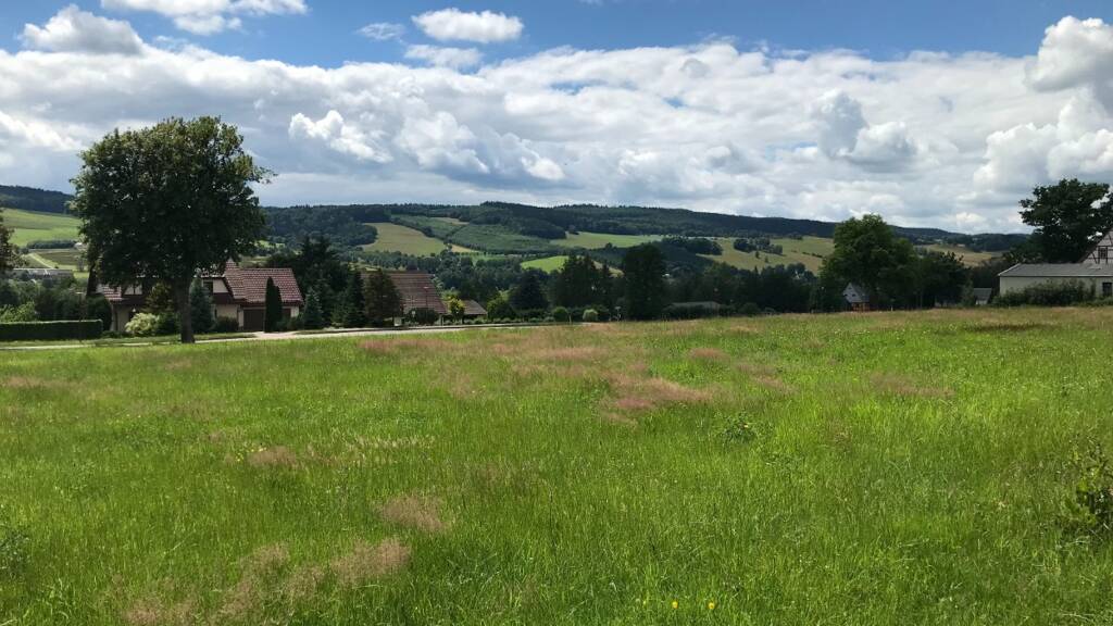 Grundstück zum Kauf provisionsfrei 79.495 € 1.223 m² Grundstück Olbernhau 09526