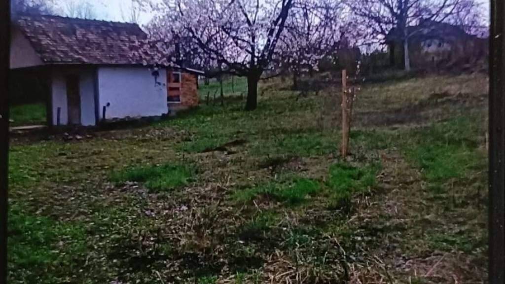 Land-/Forstwirtschaft zum Kauf 13.000 € Ilok