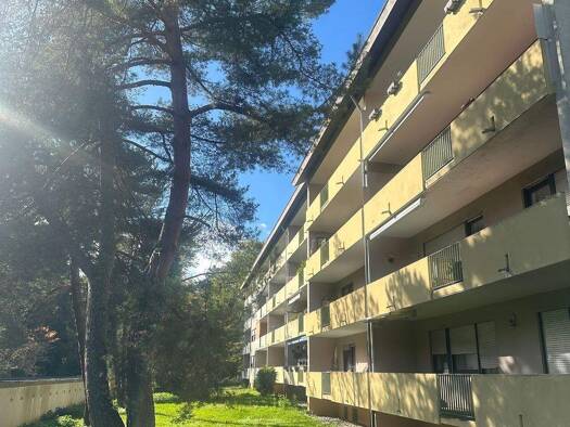 Wohnung zum Kauf 225.000 € 3 Zimmer 78 m² EG frei ab sofort Singen Singen (Hohentwiel) 78224