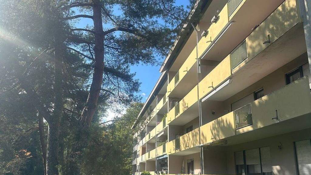 Wohnung zum Kauf 225.000 € 3 Zimmer 78 m² EG frei ab sofort Singen Singen (Hohentwiel) 78224