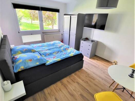 Wohnung zur Miete auf Zeit 790 € 1 Zimmer 26 m² frei ab 31.07.2027 Kleinpestitz/Mockritz Ortsamtsbereich Plauen 01189