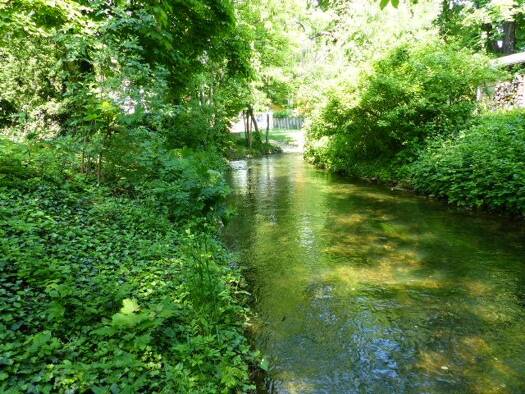 Wohnung zur Miete 1.500 € 2 Zimmer 100 m² Geschoss 3/4 frei ab 01.04.2026 Moritzstraße 22 a Altstadt Erfurt 99084