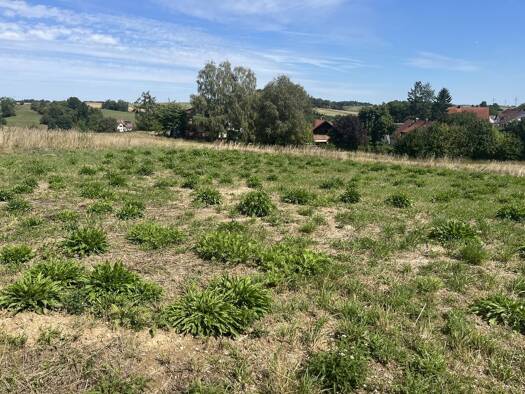 Grundstück zum Kauf 1.500.000 € 5.000 m² Grundstück Altenhausen Freising 85356