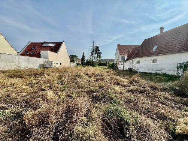 Grundstück zum Kauf 329.000 € 763 m² Grundstück Mutterstadt 67112