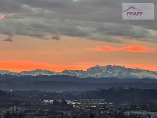 Penthouse zum Kauf provisionsfrei 649.000 € 3,5 Zimmer 122 m² Gailingen am Hochrhein 78262