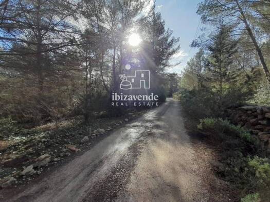 Acker-/Waldstück zum Kauf 700.000 € Sant Joan de Labritja 07812